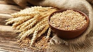 Wooden bowl filled with wheat grains, with wheat stalks and burlap in the background.